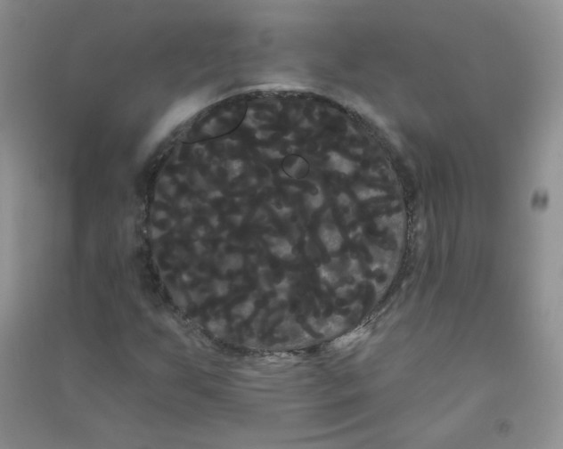 X0000090711255200708171859