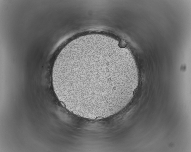 X0000090711256200708171859