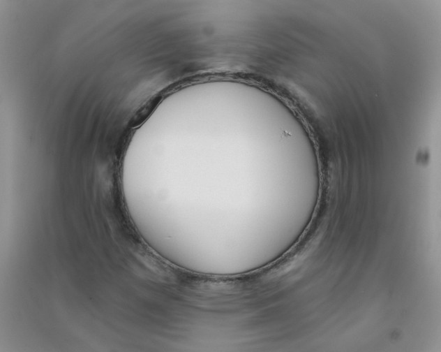 X0000090711257200708171859