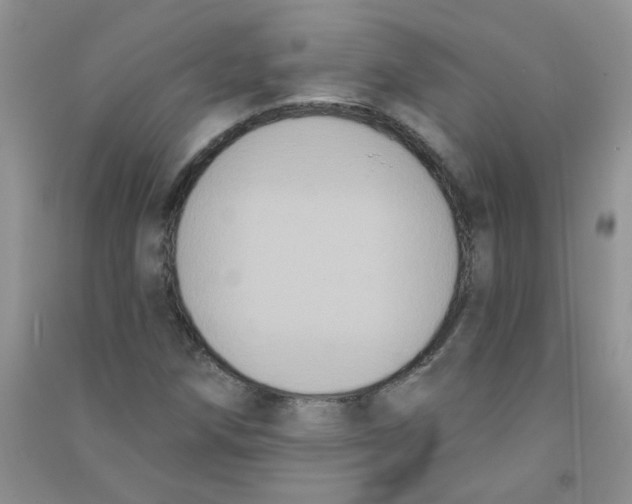 X0000090711258200708171859