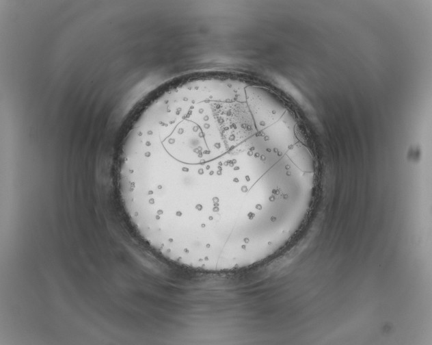 X0000090711259200708171859