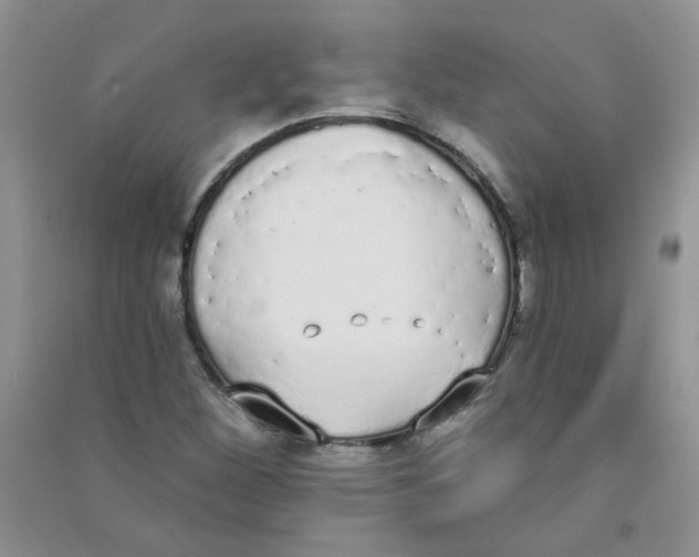 X0000090711260200708171859