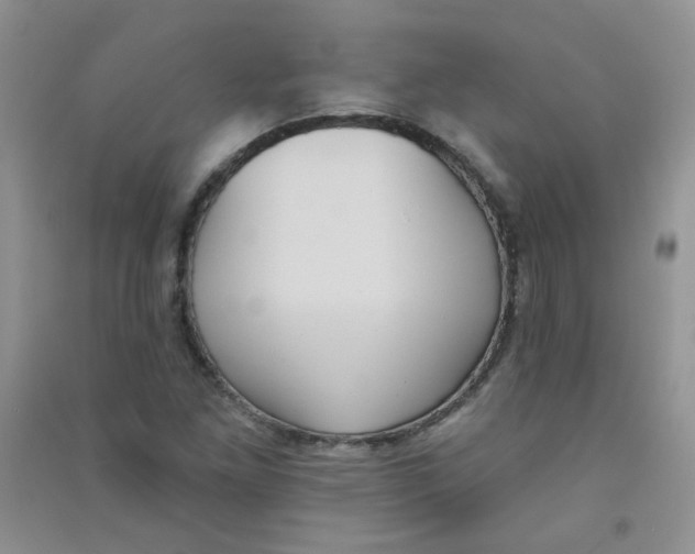 X0000090711261200708171859