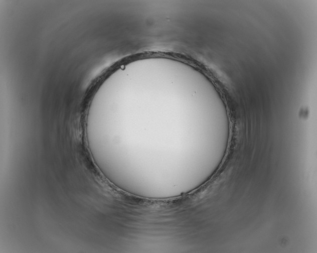 X0000090711262200708171859