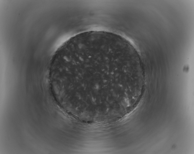 X0000090711263200708171859