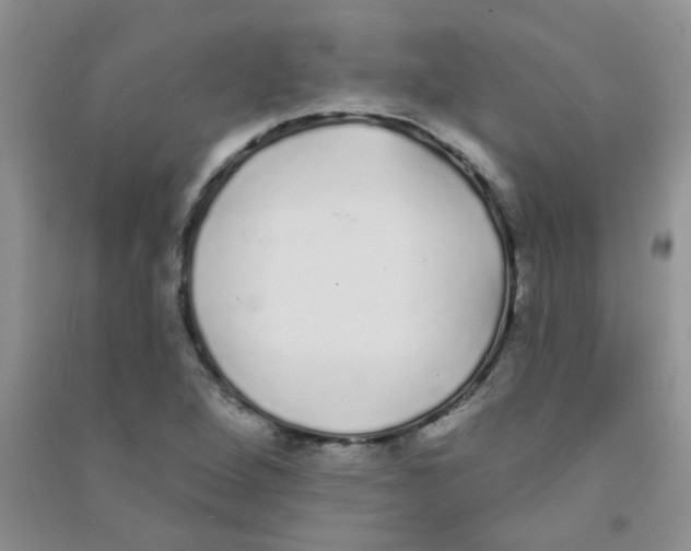 X0000090711264200708171859