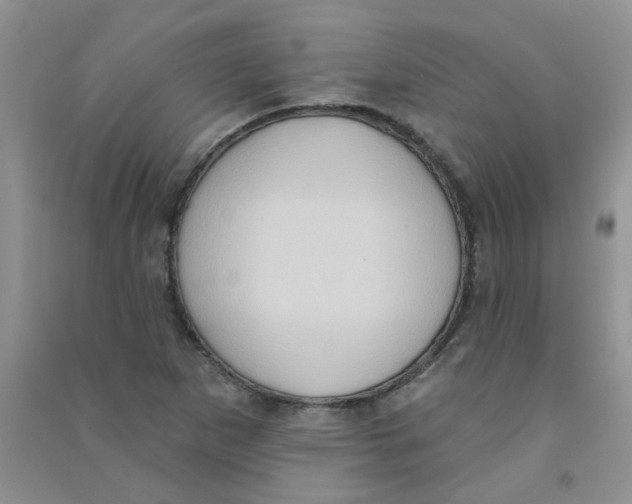 X0000090711265200708171859