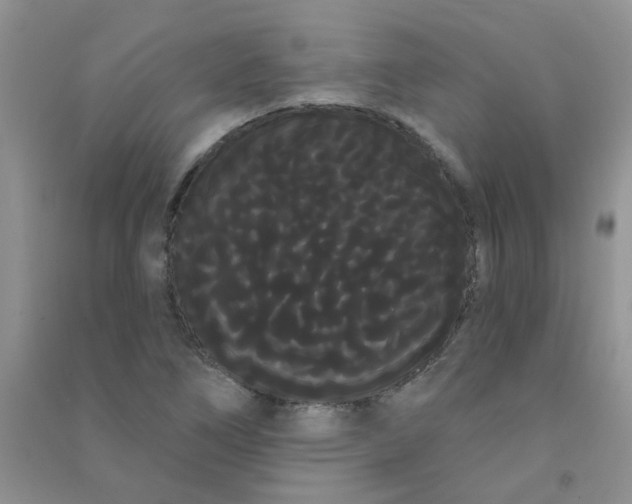 X0000090711266200708171859