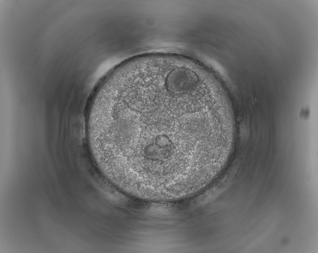 X0000090711267200708171859