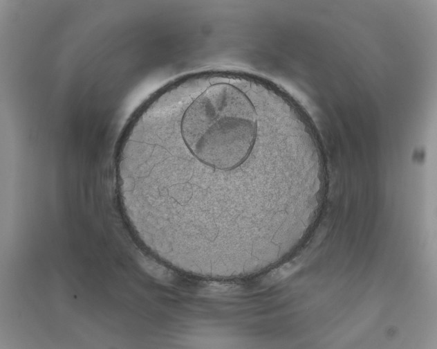 X0000090711271200708171859