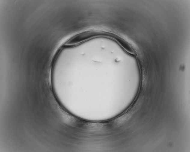 X0000090711272200708171859