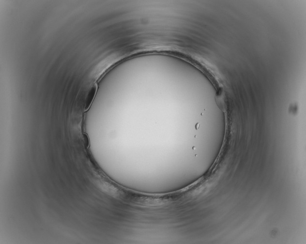 X0000090711273200708171859