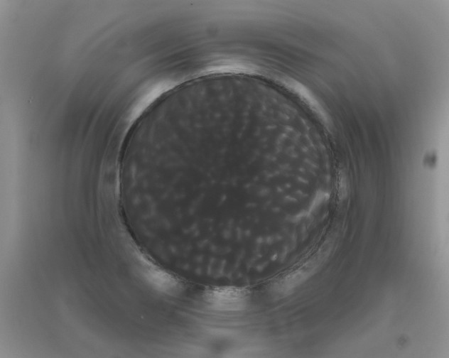 X0000090711274200708171859