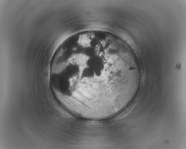 X0000090711275200708171859