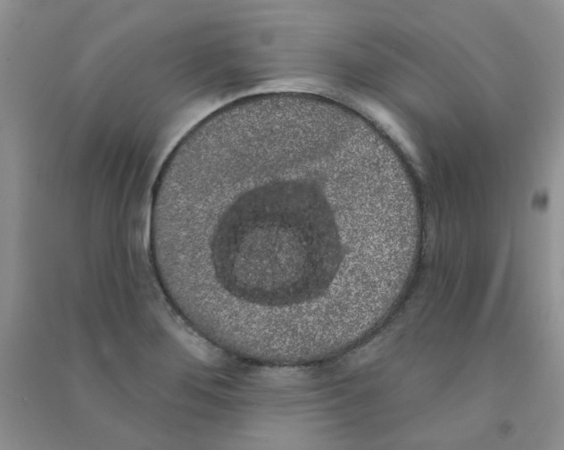 X0000090711276200708171859