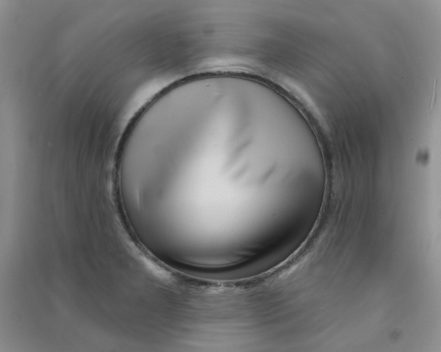 X0000090711277200708171859