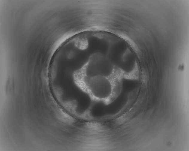 X0000090711278200708171859