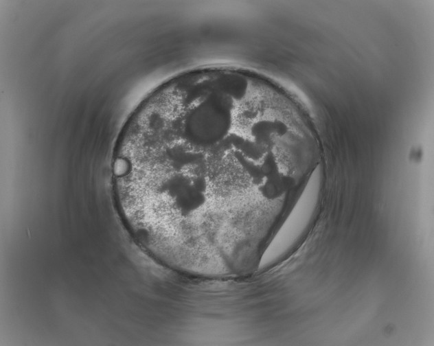 X0000090711279200708171859