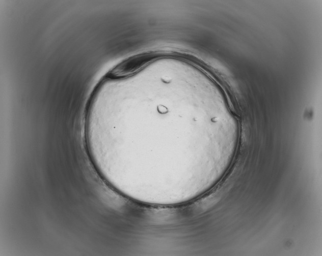 X0000090711280200708171859