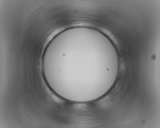 X0000090711282200708171859