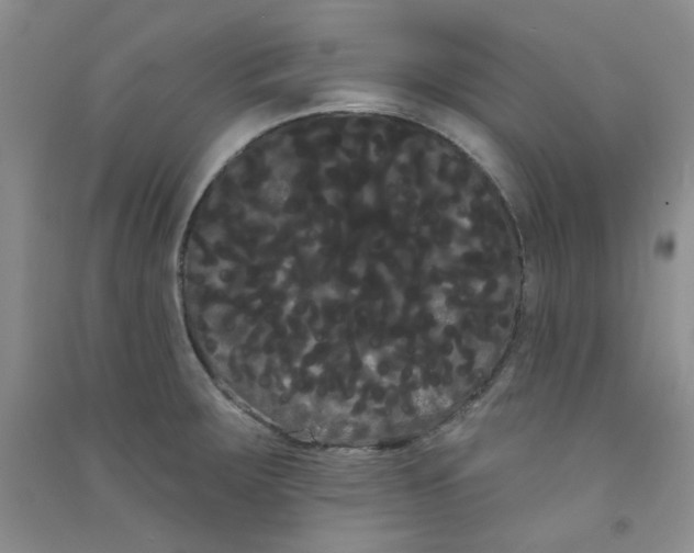 X0000090711283200708171859