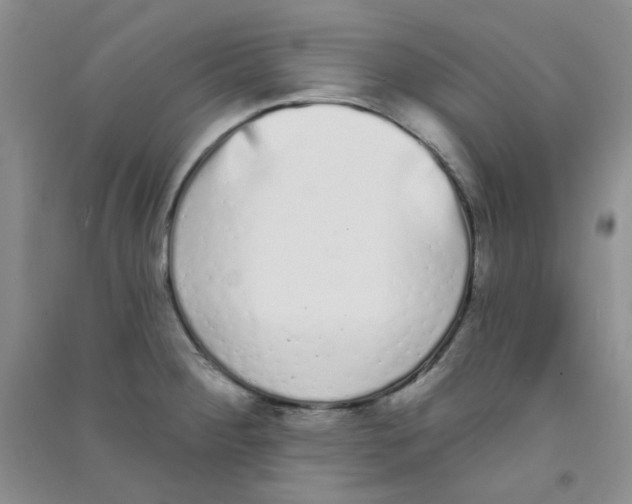 X0000090711284200708171859