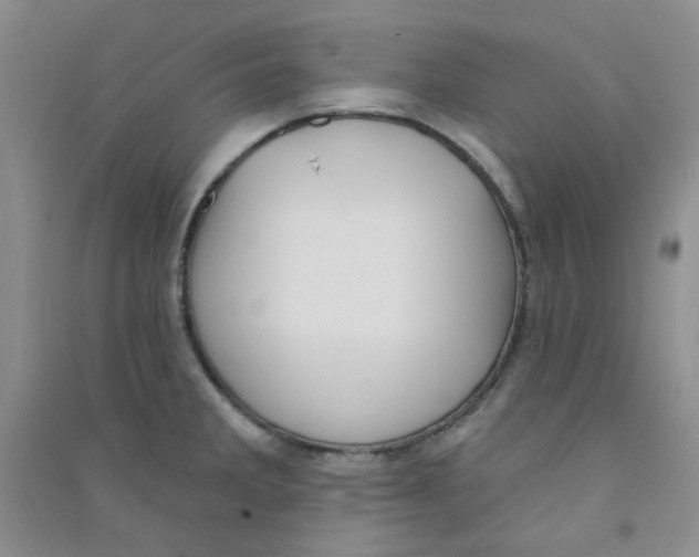 X0000090711285200708171859