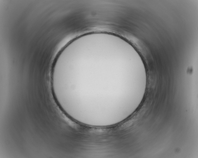 X0000090711286200708171859