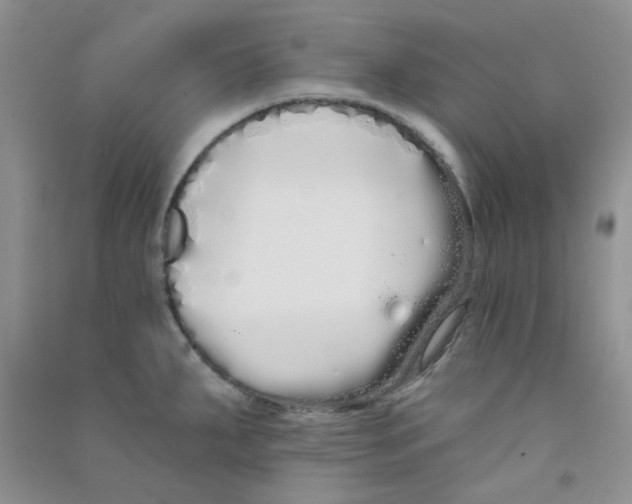 X0000090711287200708171859