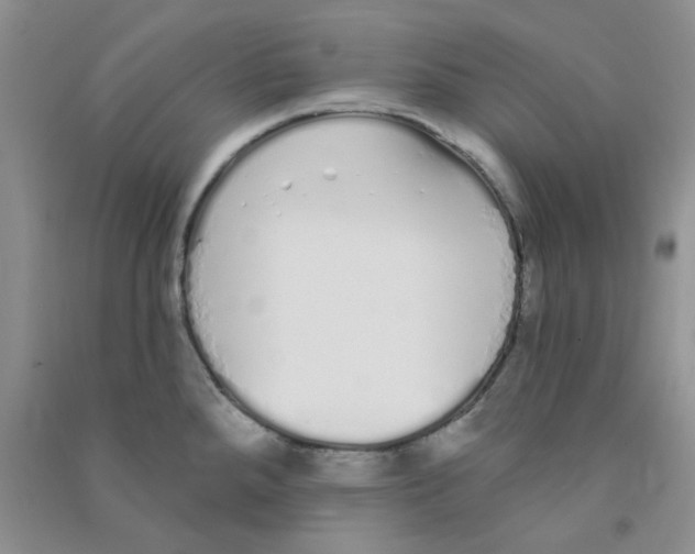 X0000090711288200708171859