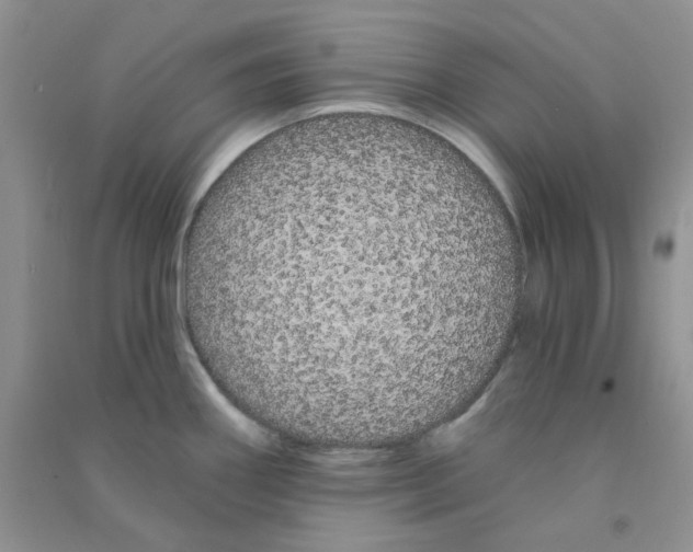 X0000090711290200708171859