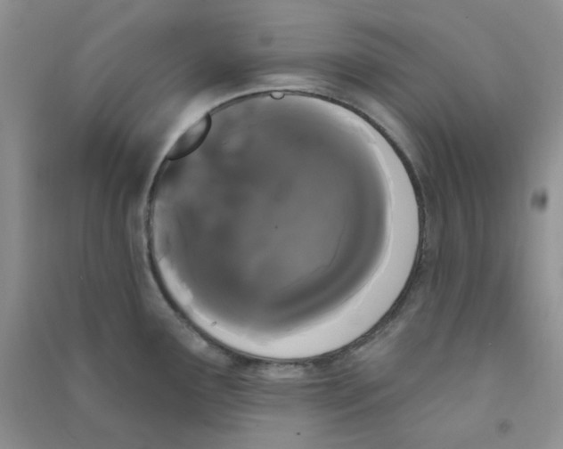 X0000090711291200708171859