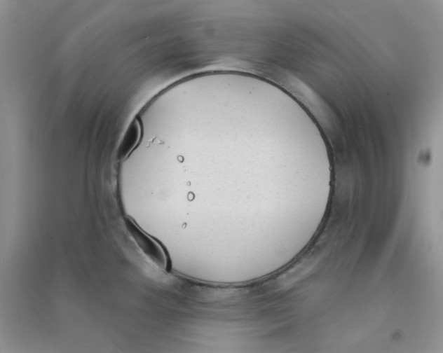 X0000090711292200708171859