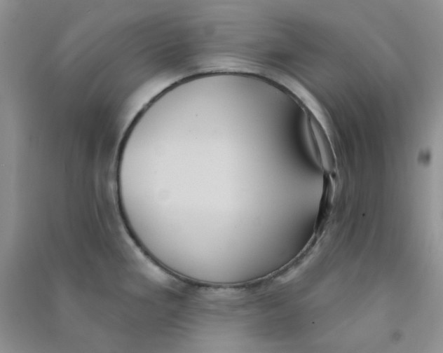 X0000090711293200708171859