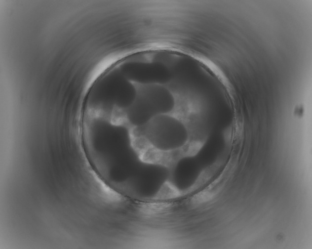 X0000090711294200708171859