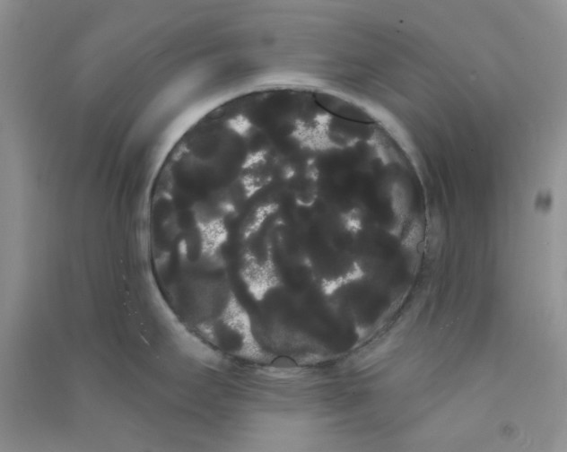 X0000090711295200708171859