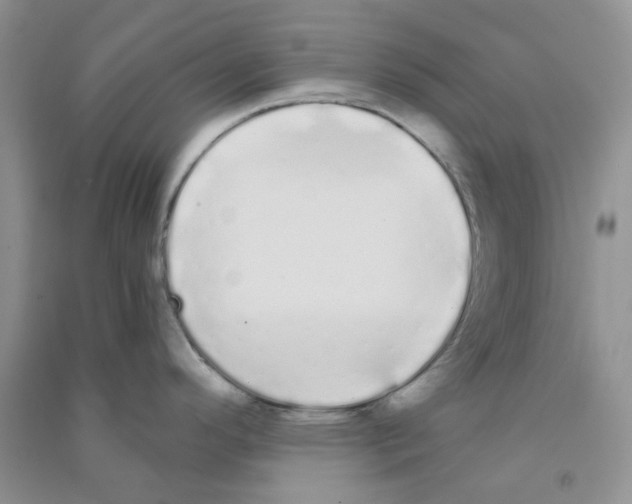 X0000090711296200708171859