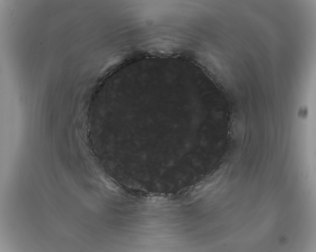 X0000090711297200708171858