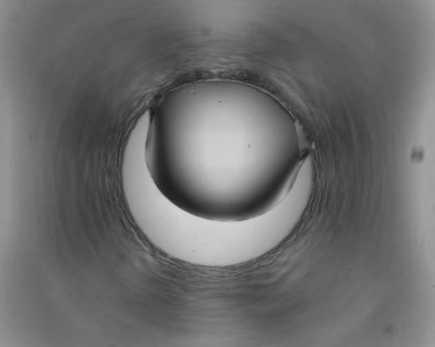 X0000090711298200708171858