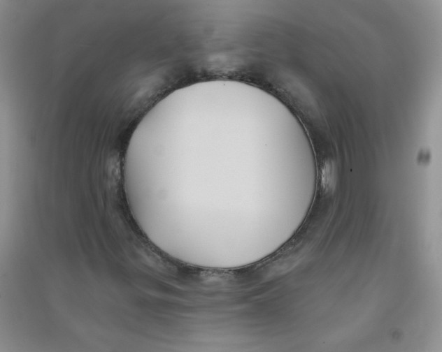 X0000090711299200708171858