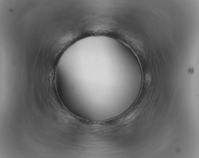 X0000090711300200708171858