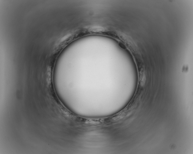 X0000090711301200708171858