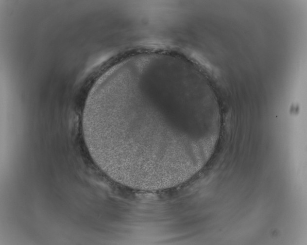 X0000090711302200708171858