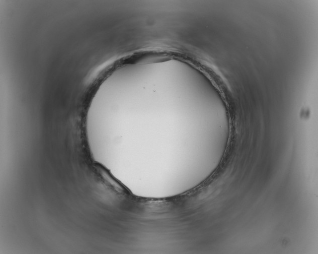 X0000090711304200708171858