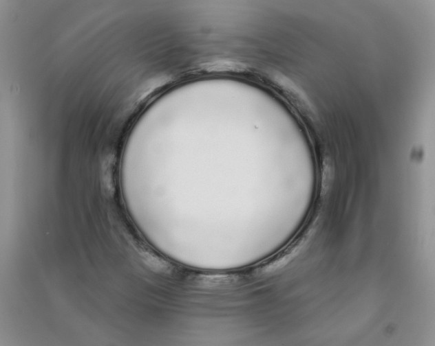 X0000090711305200708171858