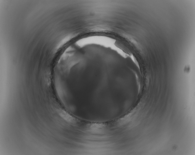 X0000090711306200708171858