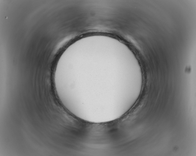 X0000090711307200708171858