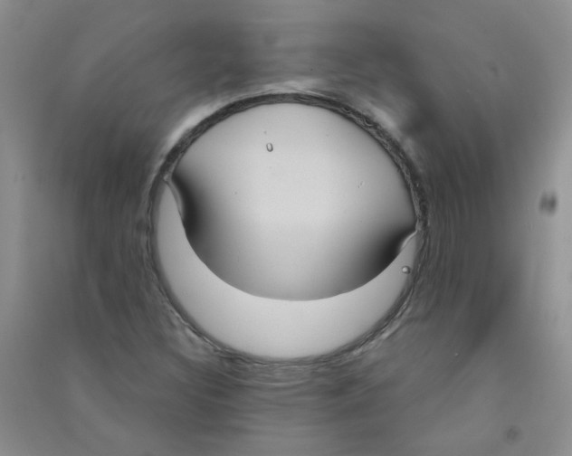 X0000090711308200708171858