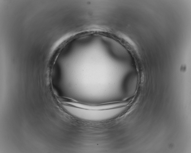 X0000090711310200708171858