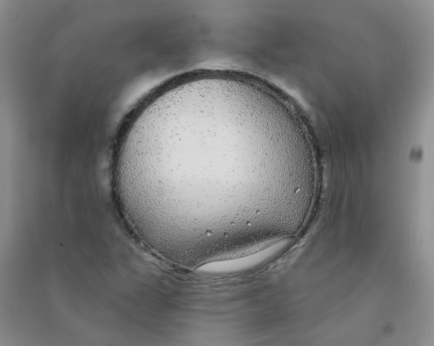 X0000090711311200708171858